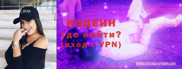 шишки Инсар