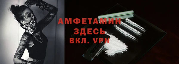 шишки Инсар