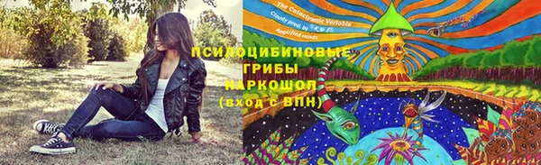 МДПВ Иннополис