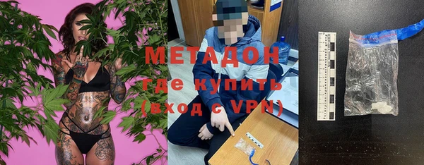 шишки Инсар