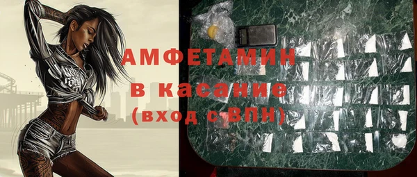 шишки Инсар