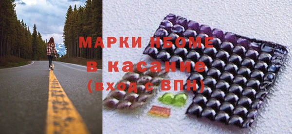 шишки Инсар