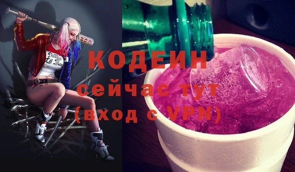 МДПВ Иннополис