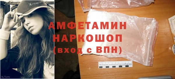 шишки Инсар