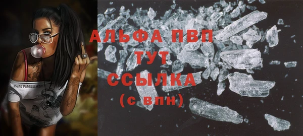шишки Инсар