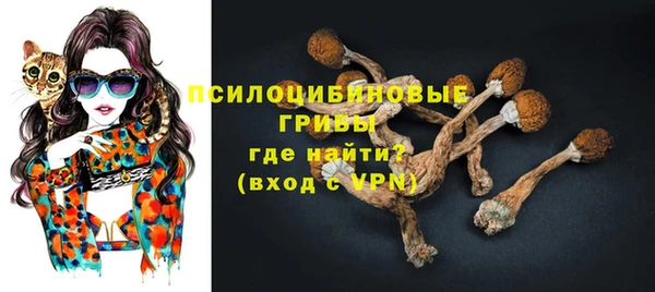 шишки Инсар