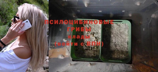шишки Инсар